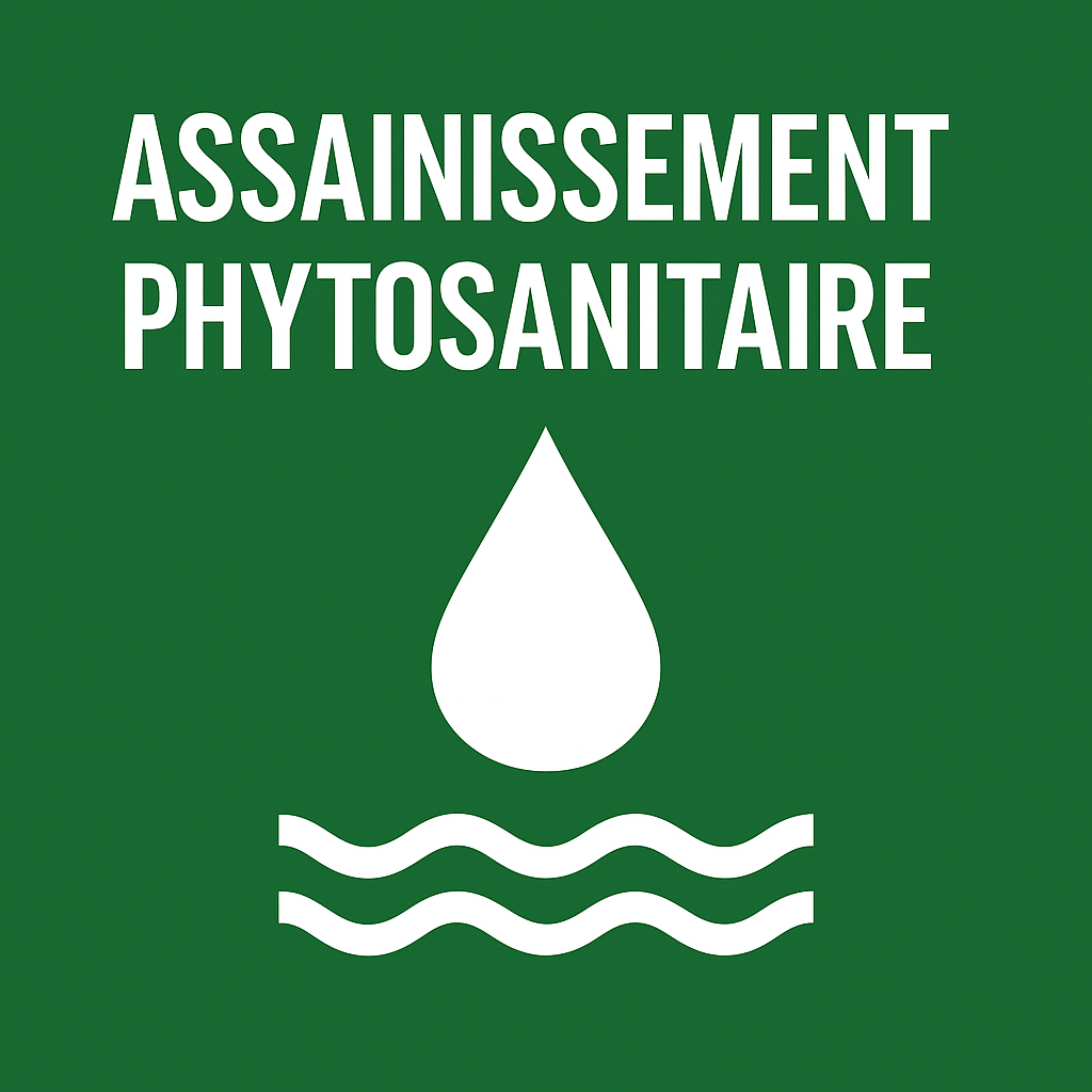 assainisssement